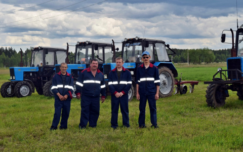 В Судогодском районе день поля собрал около 2,5 тысяч человек