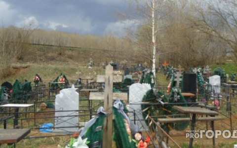 Владимирское кладбище обрастет новыми землями