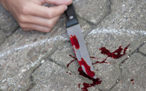 В Вязниках женщина зарезала отца троих детей