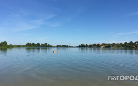 Во Владимирской области спасли двоих утопающих детей