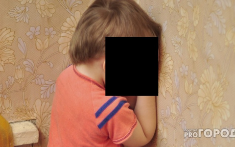 Во Владимирской области бывший заключенный изнасиловал 4-летнего мальчика