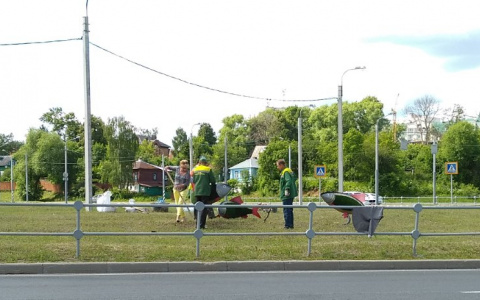 На Лыбедской магистрали всплыли рыбы, рожденные в неволе