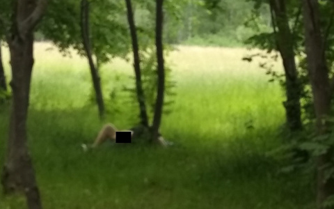 Во Владимире пара предалась плотским утехам у всех на виду