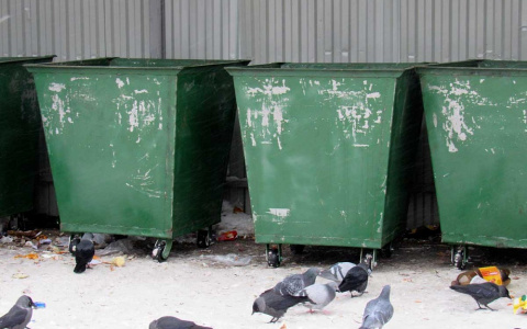 Женщину, нашедшую младенца на помойке, заставили посетить гинеколога