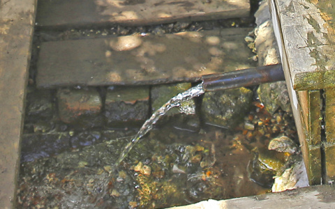 Воду из владимирских родников рекомендуют пить осторожно