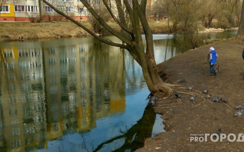 Пруд на Комиссарова наконец привели в порядок