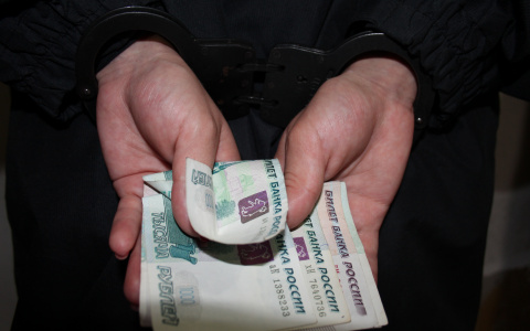 Владимирский фермер украл полтора миллиона из бюджета