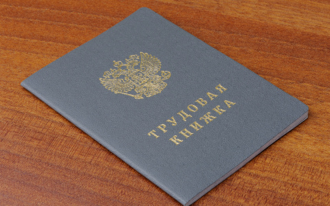 В России постепенно внедрят электронные трудовые книжки