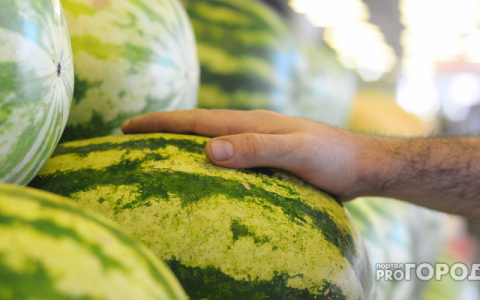 Владимирцев предупреждают об опасности ранних арбузов