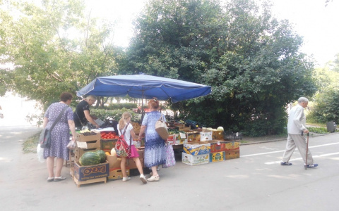 Владимирские чиновники навели страху на уличных торговцев