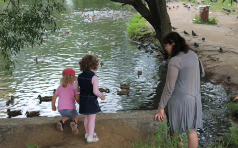 На Красносельском пруду приступили к созданию новой зоны отдыха