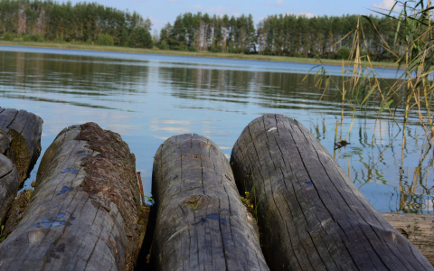 Во Владимире озеро Глубокое оказалось опасным для купания