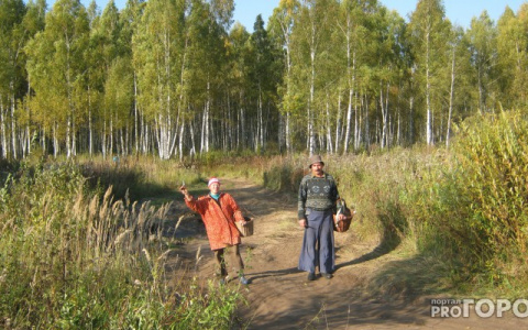 В ближайшие дни владимирцев ожидает изнуряющая жара и грозы