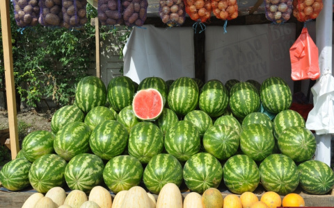 Во Владимире открылся новый плодово-овощной рынок