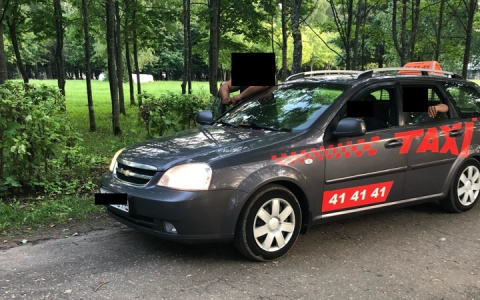 Водитель крупного такси во Владимире прокатился по пешеходной дороге в парке