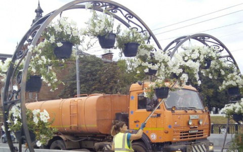 На улицах Владимира вновь воцарится "любвеобильная" атмосфера
