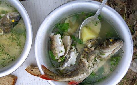 4 августа Камешковский район приглашает на Праздник ухи на Клязьме