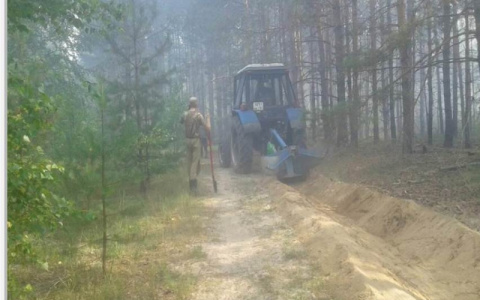 Под Гусь-Хрустальным сгорело пол гектара леса