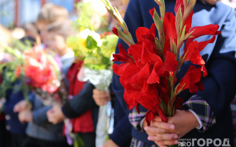 Во Владимире детей поменяют на цветы