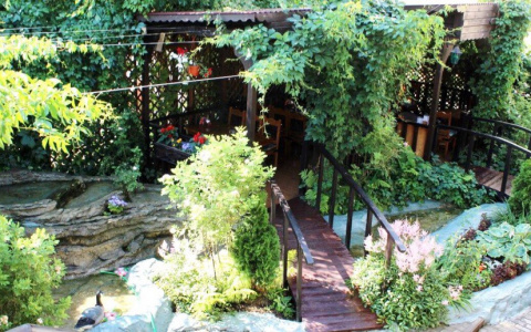 Из Владимира на солнечный Кавказ: Восток ближе, чем вы думаете