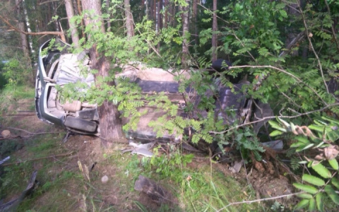 Автомобиль улетел в лес под Ковровом