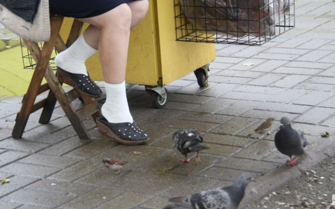 Во Владимире похолодает до +12