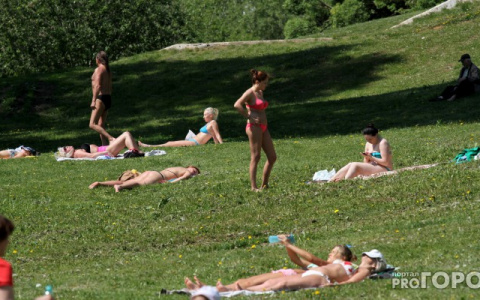 Жарища продолжит испытывать владимирцев на прочность