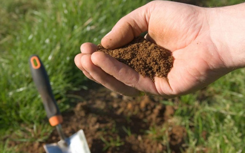 Названы самые грязные регионы России