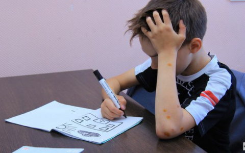 Эксперты рассказали, как подготовить дошкольников к первому классу