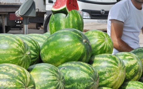 В Вязниках обнаружили пять тонн арбузов "вне закона"