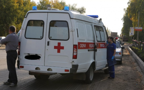 Малышке, упавшей с крыши фермы под Судогдой, пришлось час ждать скорую