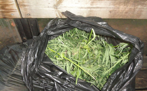 Килограмм конопли нашли на остановке в Гороховце