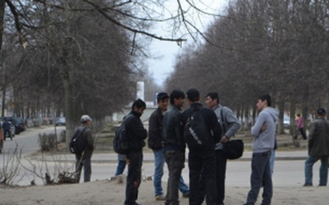 Из Владимирской области выгнали почти 200 нелегалов с начала года