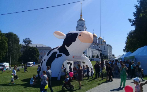 5 вещей, которые возмутили Владимирцев на День города