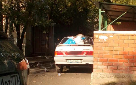 Владимирскому автохаму устроили "мусорную взбучку"