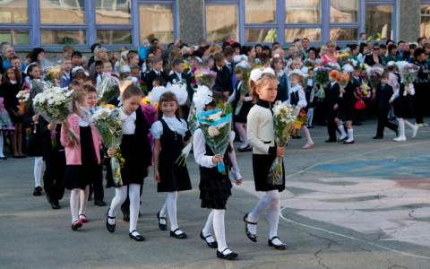 Во Владимире в 1 класс отправятся 4196 человек