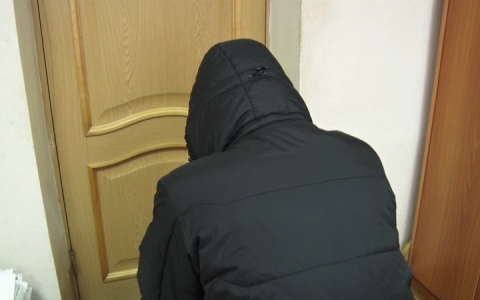 Житель Москвы целенаправленно приезжал в Кольчугинский район, чтобы воровать