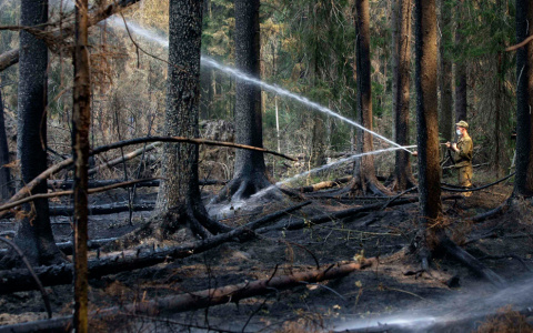 Во Владимирской области введен особый противопожарный режим