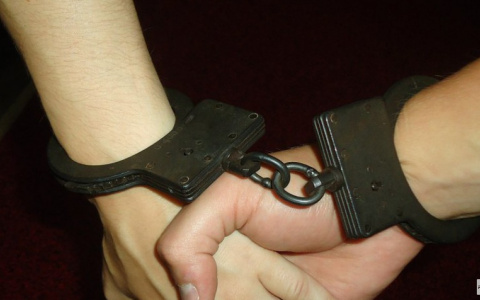 Сладкая парочка из Александрова сняла дом и вынесли из него все имущество