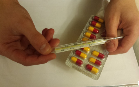 Россиян предупредили о скорой «атаке» двух новых штаммов гриппа