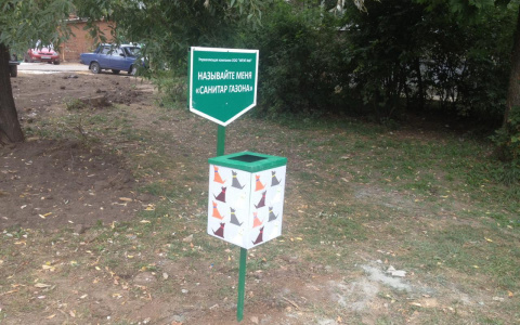 Во Владимире появились необычные собачьи урны