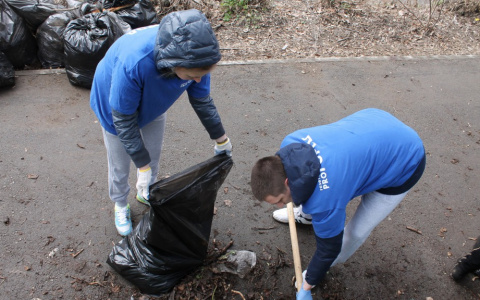 В субботу на Семязино состоится волонтерский субботник