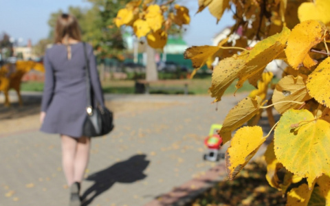 Бабье лето нагрянет во Владимир в октябре