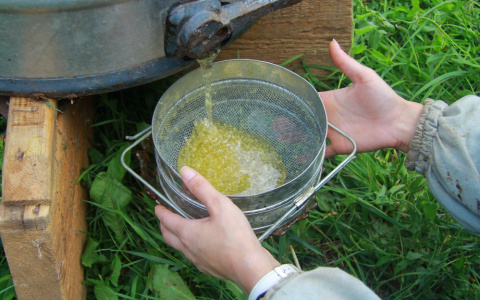 Во Владимире бабушка купила банку "целебного" меда за 20 000 рублей