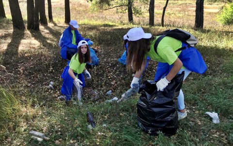 Во Владимирской области прошла генеральная уборка