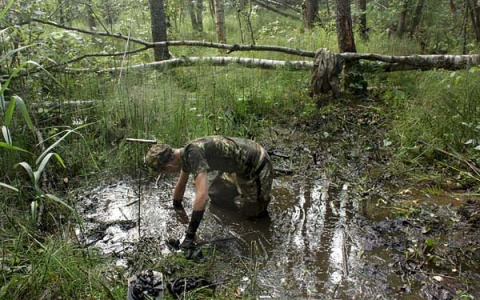 Владимирец во время прогулки по лесу застрял в болоте и чудом выжил