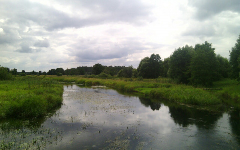 Завершены работы по расчистке и углублению дна реки Судогды