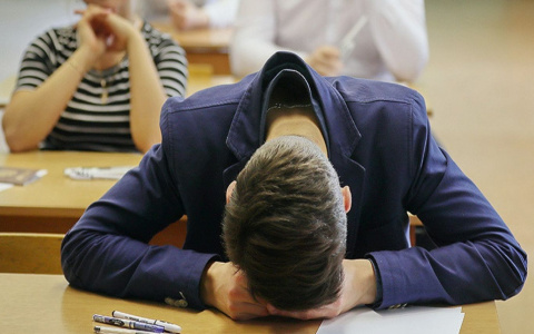 В ГД предложили дать выпускникам школ год, чтобы определиться с профессией