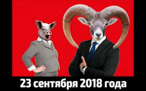 В областных пабликах промелькнула агитация за порчу бюллетеней на выборах губернатора