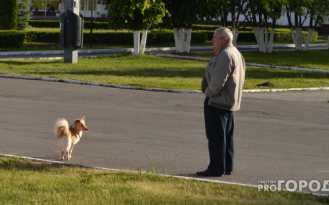 Завтра владимирцы слегка подогреются на солнышке